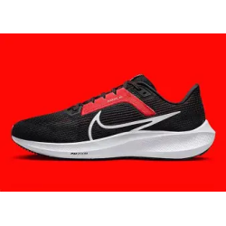Nike Pegasus 40